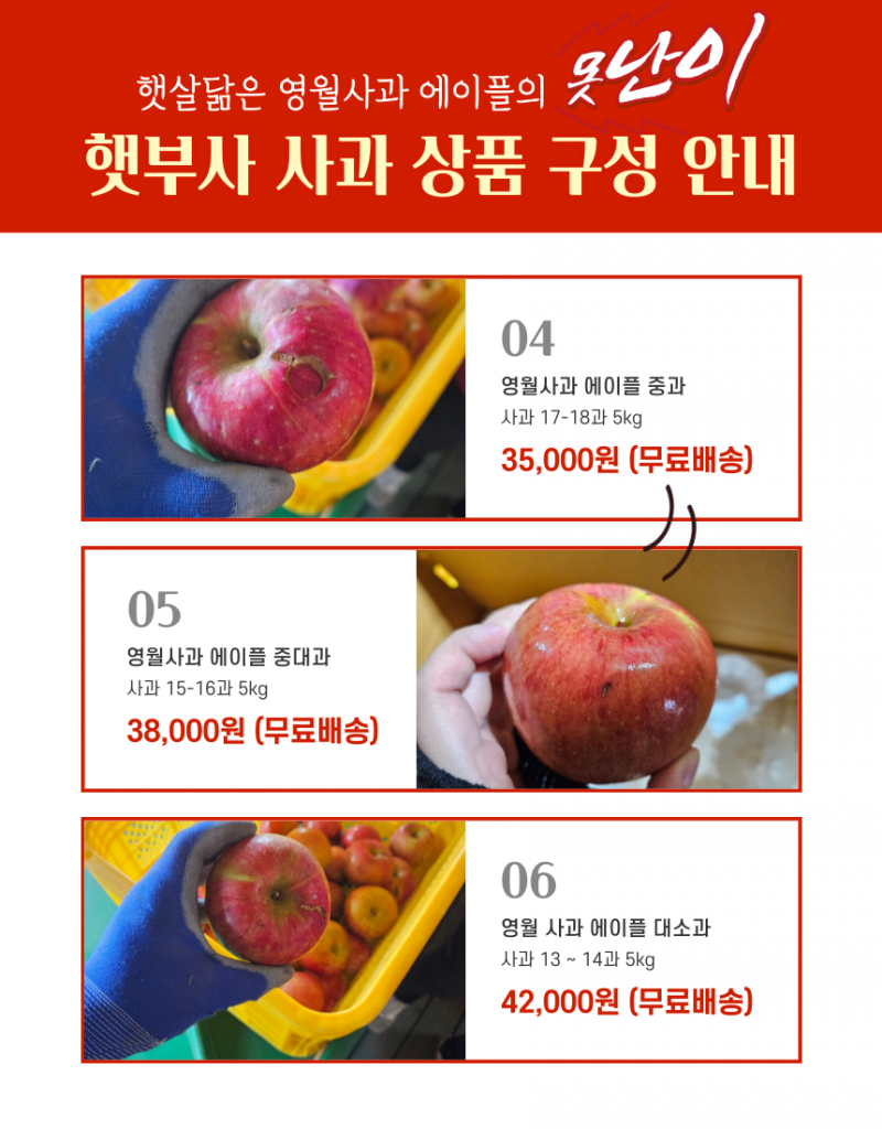 강원더몰,[못난이 사과]영월사과 에이플 햇부사 5kg[GAP]