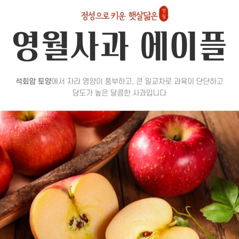 영월몰,영월사과 에이플 명품 햇부사 5kg[GAP]