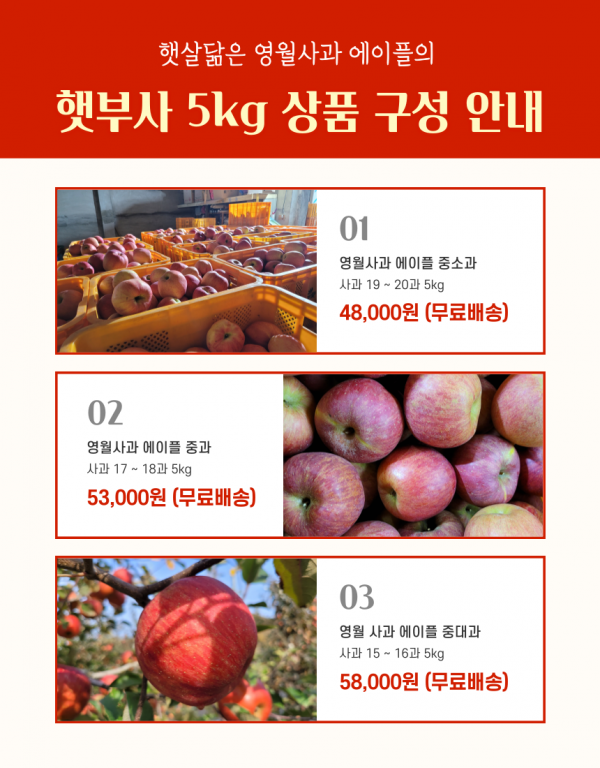 영월몰,영월사과 에이플 명품 햇부사 5kg[GAP]