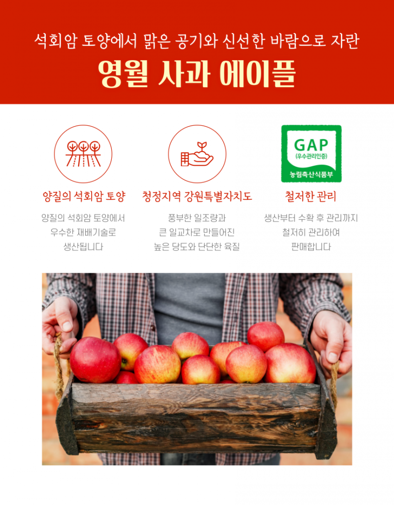 영월몰,영월사과 에이플 명품 햇부사 5kg[GAP]