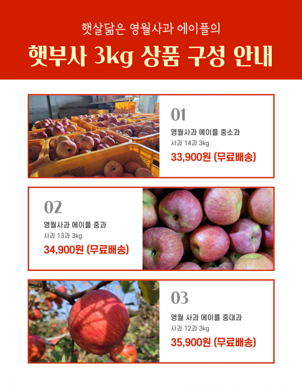 영월몰,영월사과 에이플 명품 햇부사 3kg[GAP]