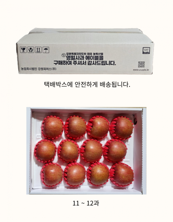영월몰,추석사과 명품 선물세트 5kg[GAP][예약배송]