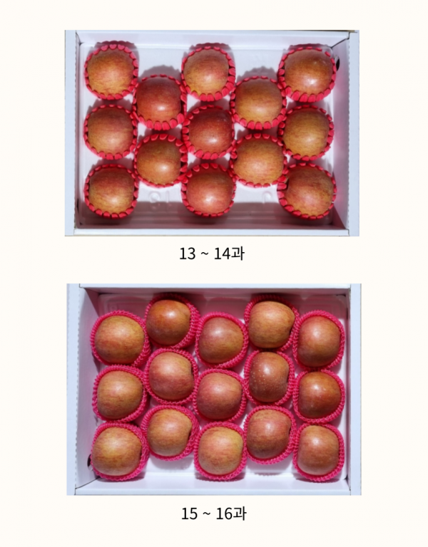 영월몰,추석사과 명품 선물세트 5kg[GAP][예약배송]